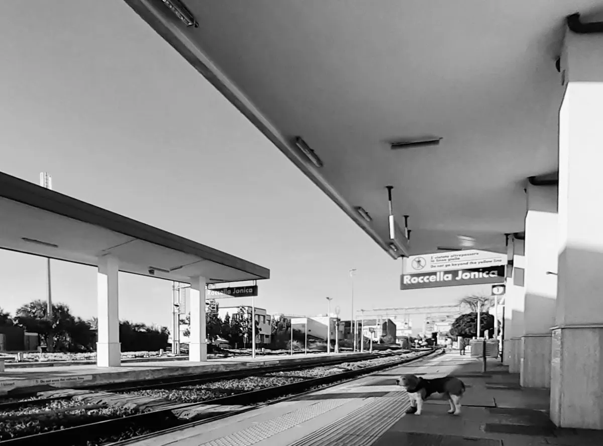 Il diritto di viaggiare, la bellezza di appartenere